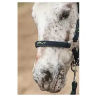 Halsterset_STOUT__Lime_2