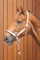 Halsterset_Satin_Eli_1