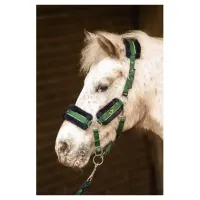 Halsterset_Soft_STOUT__Lime_1