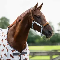 Halsterset_slable_buddy_1