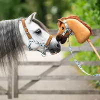 Halsterset_slable_buddy_2