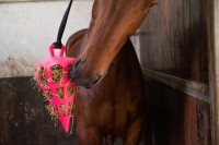 Hay_Slowfeeder_Fun_and_Flex_22_cm_Roze_Wortel_1