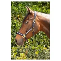 Hlsterset_Valli_Blueberry_1
