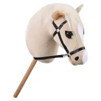 Hobby_Horse_IRHGrand_Prix_1