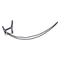 Hobby_Horse_headcollar_Free_Ride_IRHFree_Spirit
