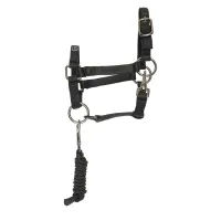 Hobby_Horse_headcollar_IRHFree_Spirit_1
