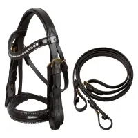 Hobby_Horse_weymouth_bridle_IRHGrand_prix