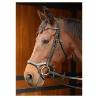 Hoofdstel_Anatomic_1