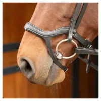 Hoofdstel_Anatomic_2