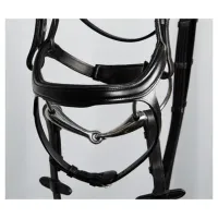 Hoofdstel_Anatomic_3