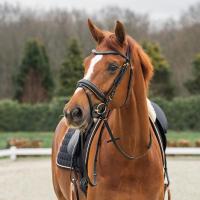 Hoofdstel_Bridle_deluxe_Black_Rose_1