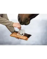 Horse_Wipes_Natural_Clean_30_XXL_wipes_4