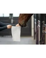 Horse_Wipes_Natural_Clean_30_XXL_wipes__2_stuks__10_00_1