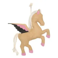IRHStable_buddy_Pegasus