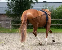 Longeerlijn_dubbel_4