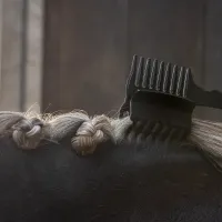 Manenkam_met_klem_3