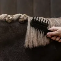 Manenkam_met_klem_5