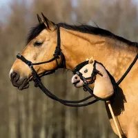 Nalanta_Touwhalster_met_teugel_Hobby_horse_3