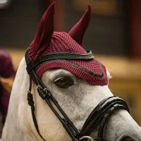 Oornetje_Zahra_Wine_red_4