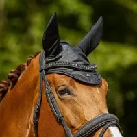 Oornetje_glitter_zwart_2