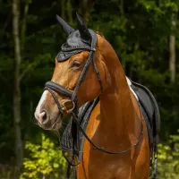 Oornetje_glitter_zwart_3