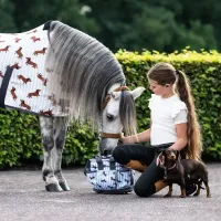 Poetstas_Stable_buddy_3