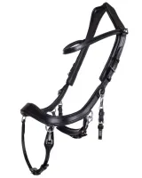 Presteq_Hoofdstel_FaySport