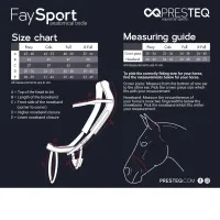 Presteq_Hoofdstel_FaySport_2