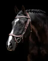 Presteq_Hoofdstel_FaySport_Brown_4