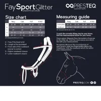 Presteq_Hoofdstel_Faysport_Glitter_black_6