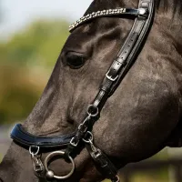 Presteq_Hoofdstel_Faysport_Shine_black_3