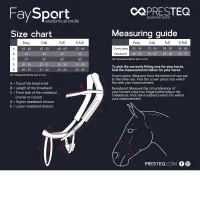 Presteq_Hoofdstel_Faysport_Shine_black_4