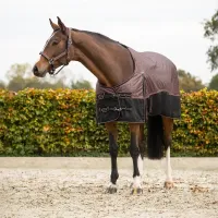 Regendeken_1200D_turnout_collection_fleece_whispering_woods_1