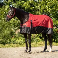 Regendeken_turnout_collection_fleece_Sunset_red