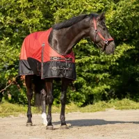 Regendeken_turnout_collection_fleece_Sunset_red_3