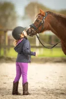 Rijbroek_Equitights_LouLou_Bo_Full_Grip_3
