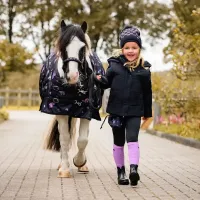 Rijlegging_lize_2