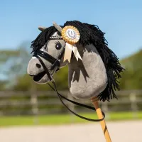 Rozettenset_Hobby_horse_1