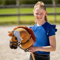 Rozettenset_Hobby_horse_2