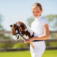 Rozettenset_Hobby_horse_3