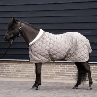 Showdeken_IRHBandit_6