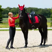 Sportshirt_lange_mouwen_Oakleigh_Sunset_red__4