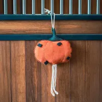 Stable_buddy_HVPPumpkin_1