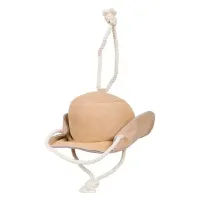 Stable_buddy_IRHCowboy_hat