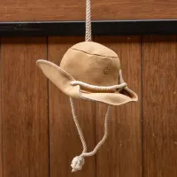 Stable_buddy_IRHCowboy_hat_1