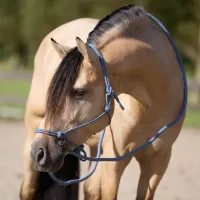 Touwhalster_IRHFree_Ride_moonstone_1