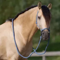 Touwhalster_IRHFree_Ride_moonstone_2