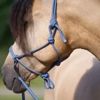 Touwhalster_IRHFree_Ride_moonstone_3