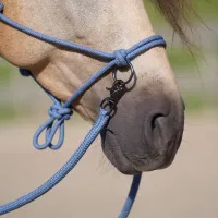 Touwhalster_IRHFree_Ride_moonstone_4