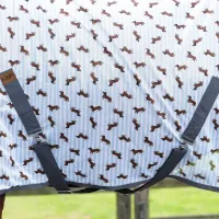 Vliegendeken_Stable_buddy_Dashhund_3